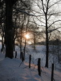 Une forêt de contes